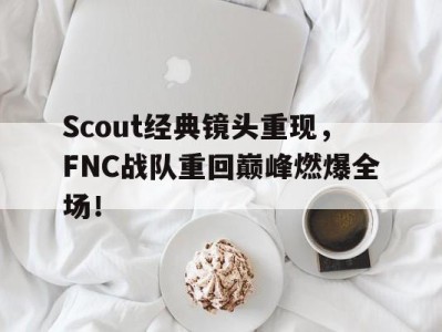 平博官网-Scout经典镜头重现，FNC战队重回巅峰燃爆全场！